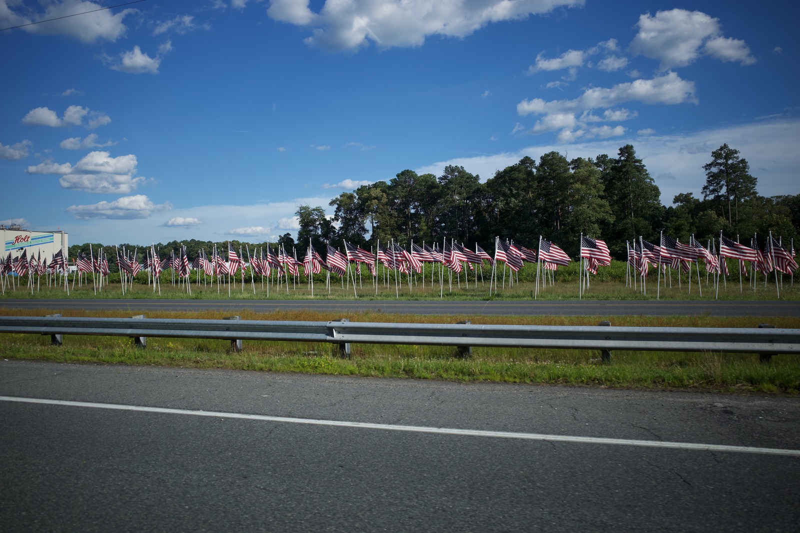 Field of Flags
