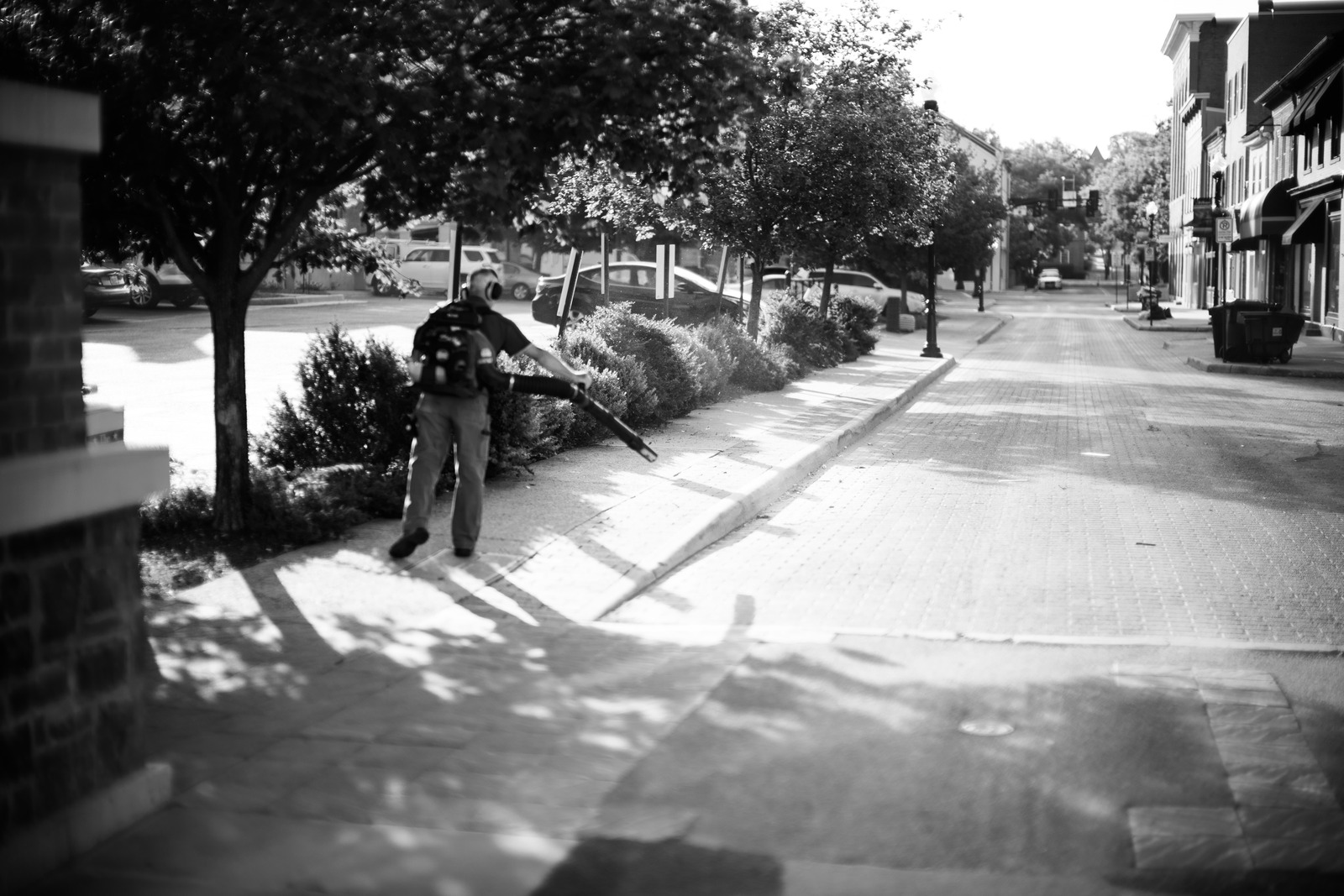 The Quiet Streetscape