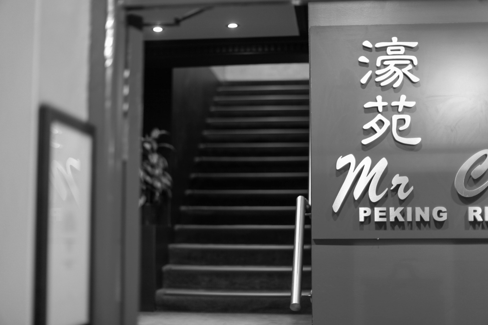 The Urban Journey Begins