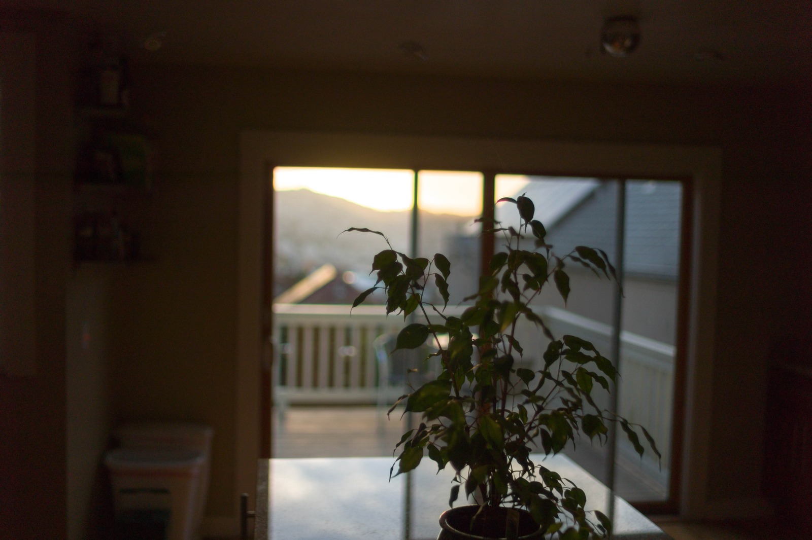 Serene Morning Light