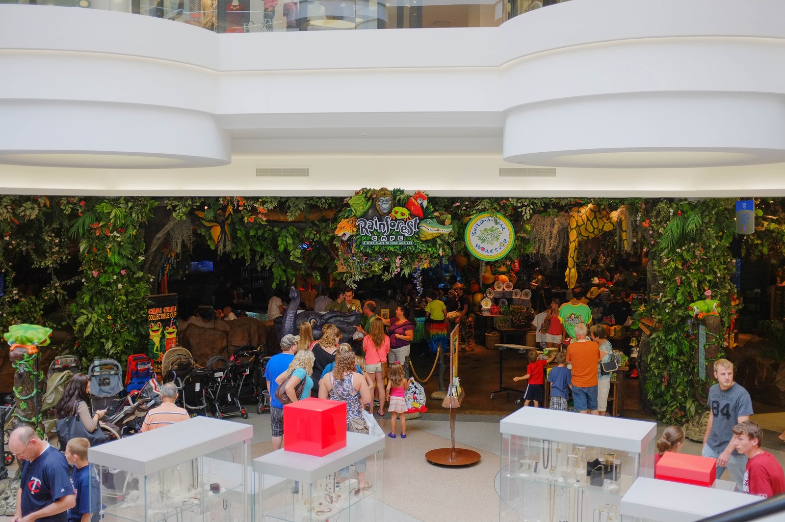 A Vibrant Jungle of Activity