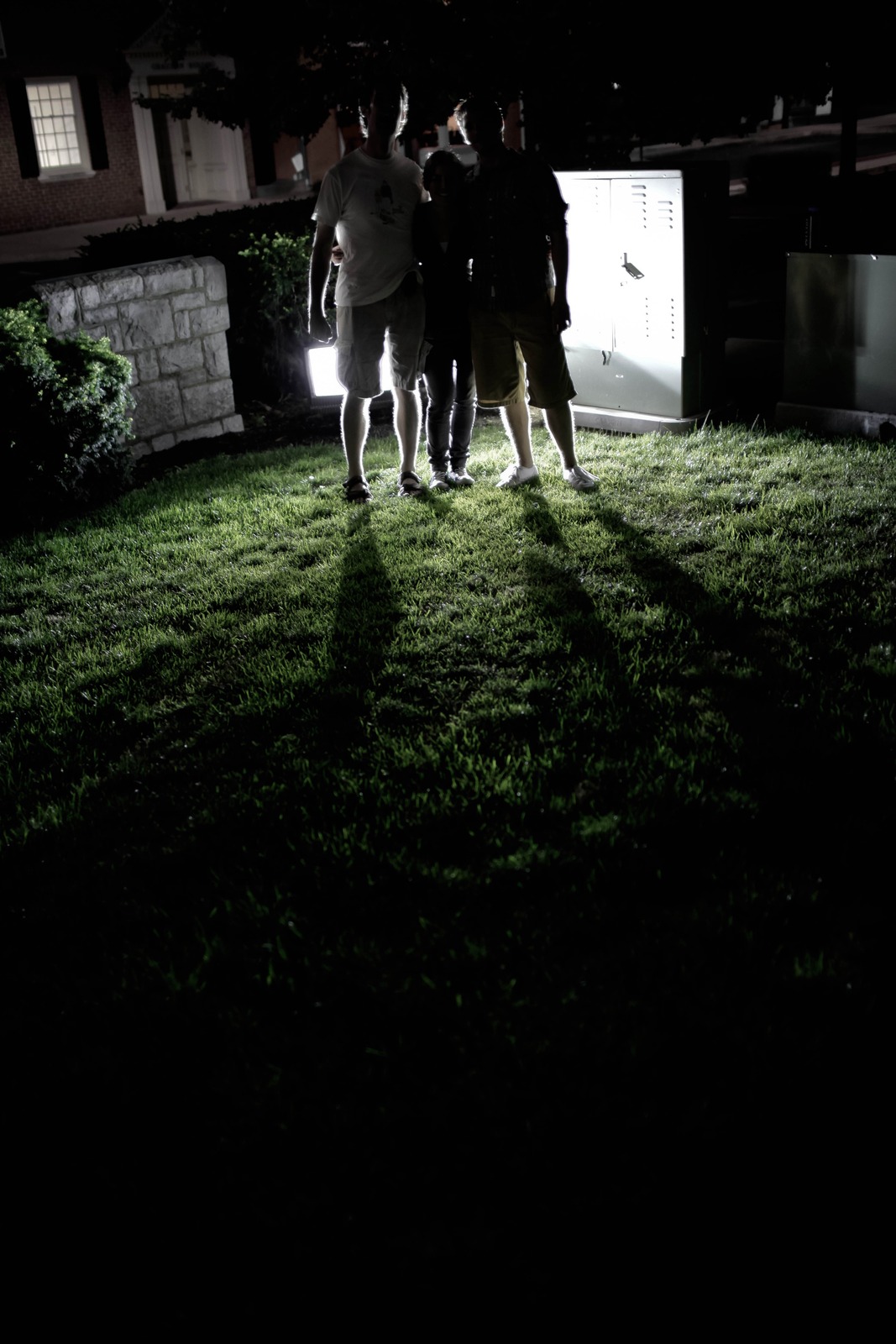 Shadows in the Night