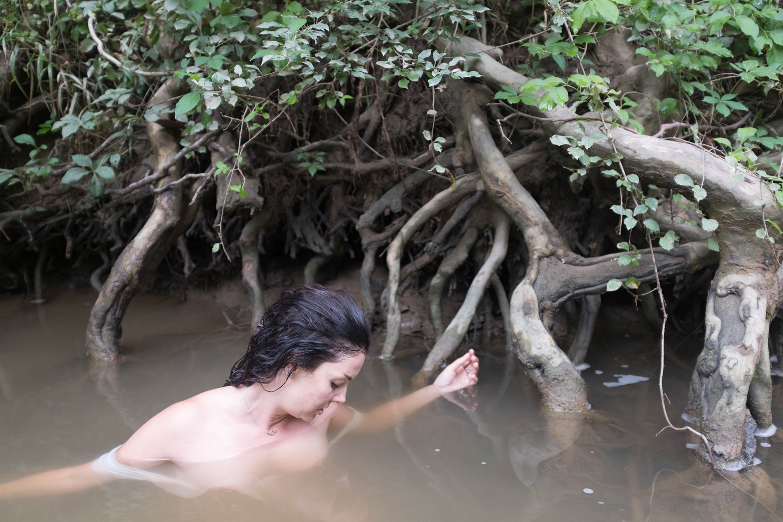 Serenity Among the Roots