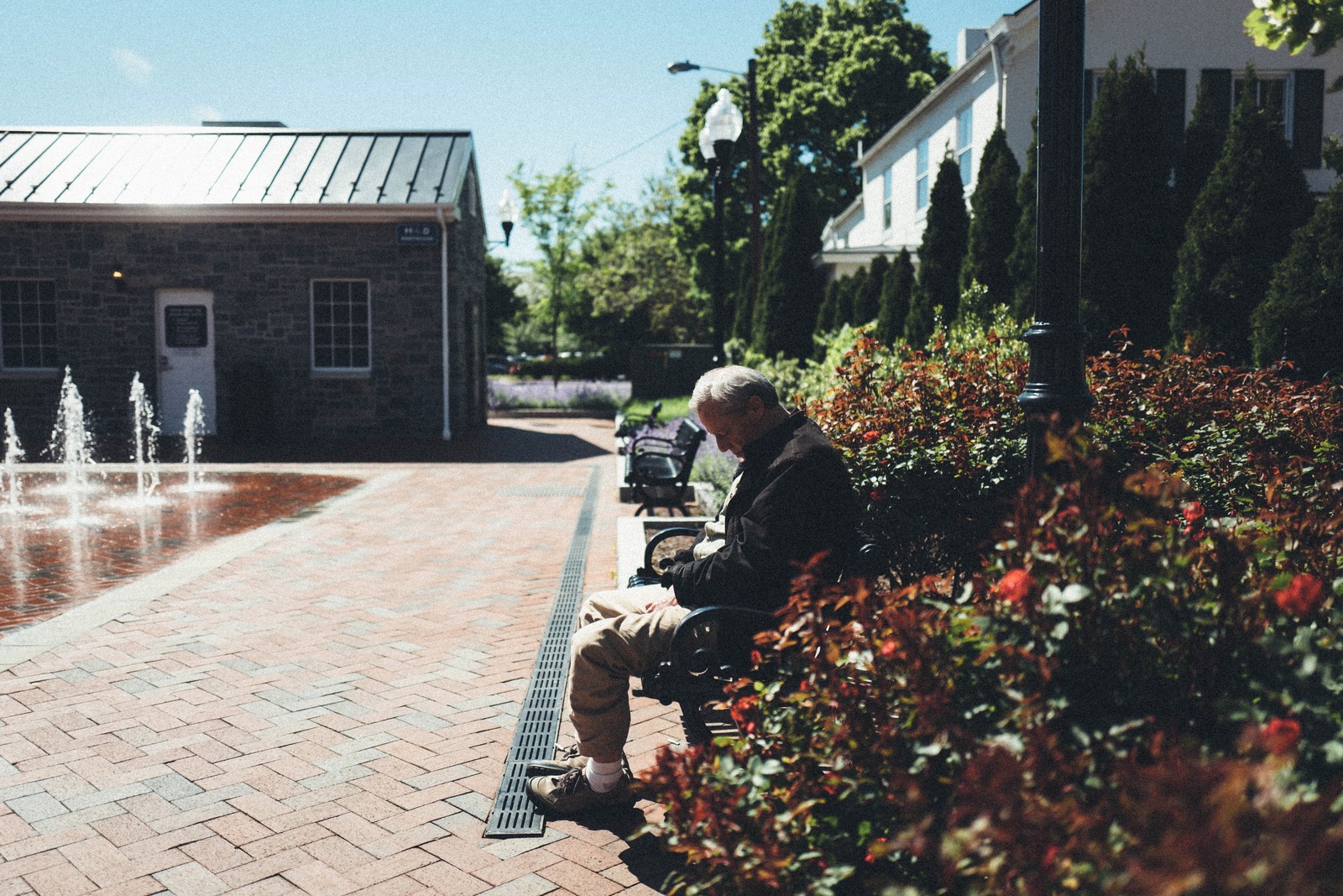 Quiet Reflection in the Park