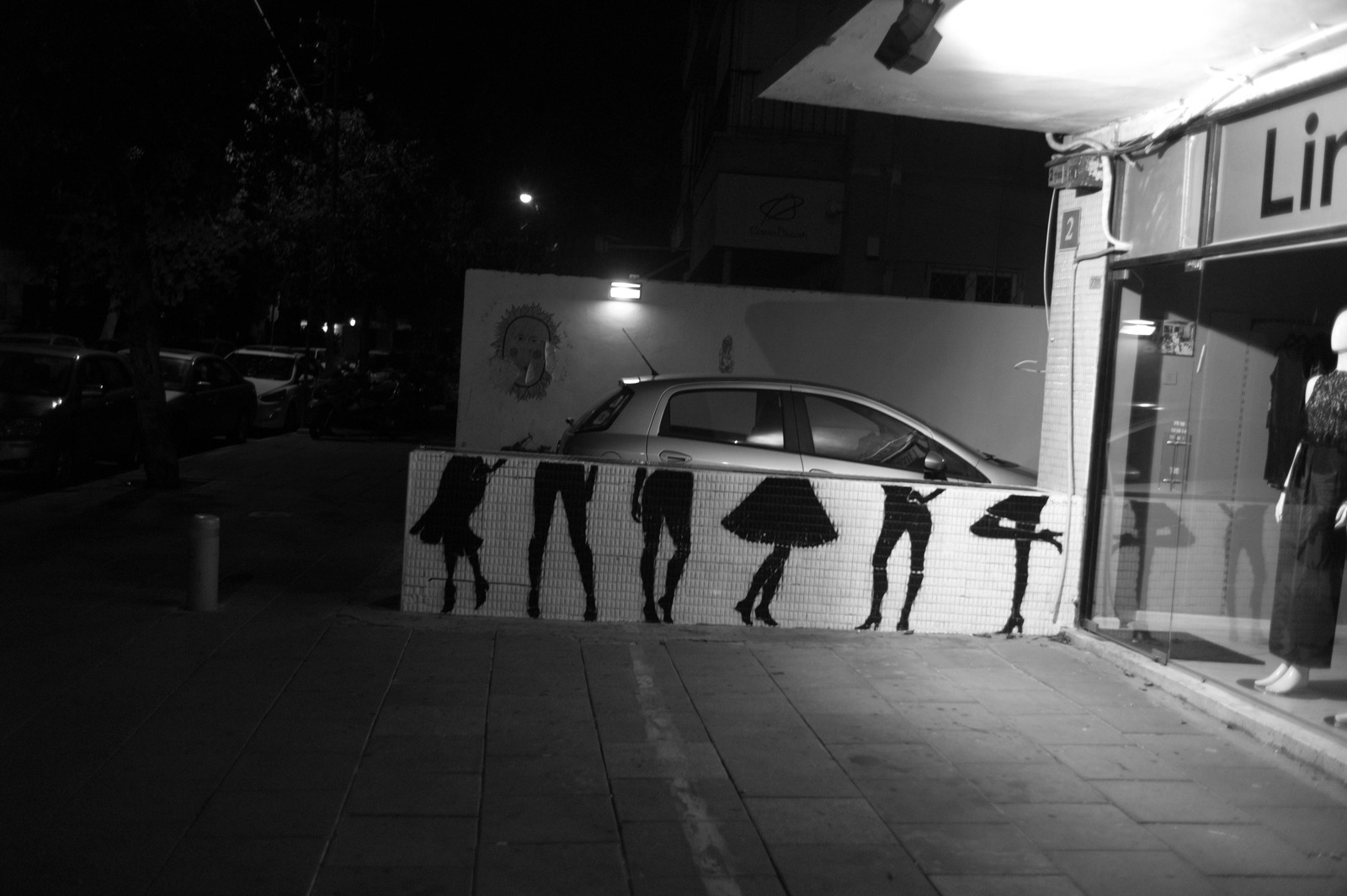 Silhouetted Elegance at Night