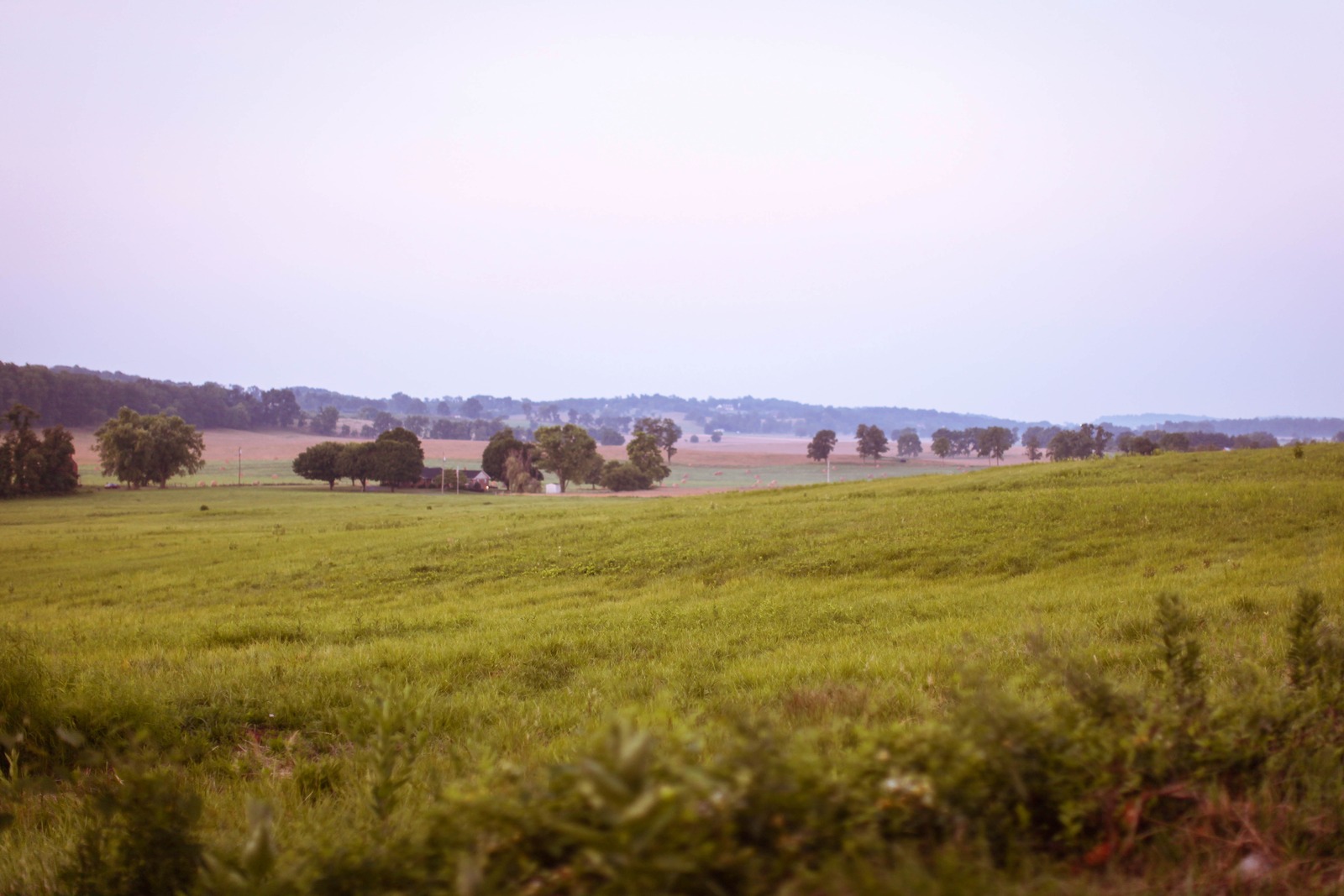 Serenity of Rural Landscapes