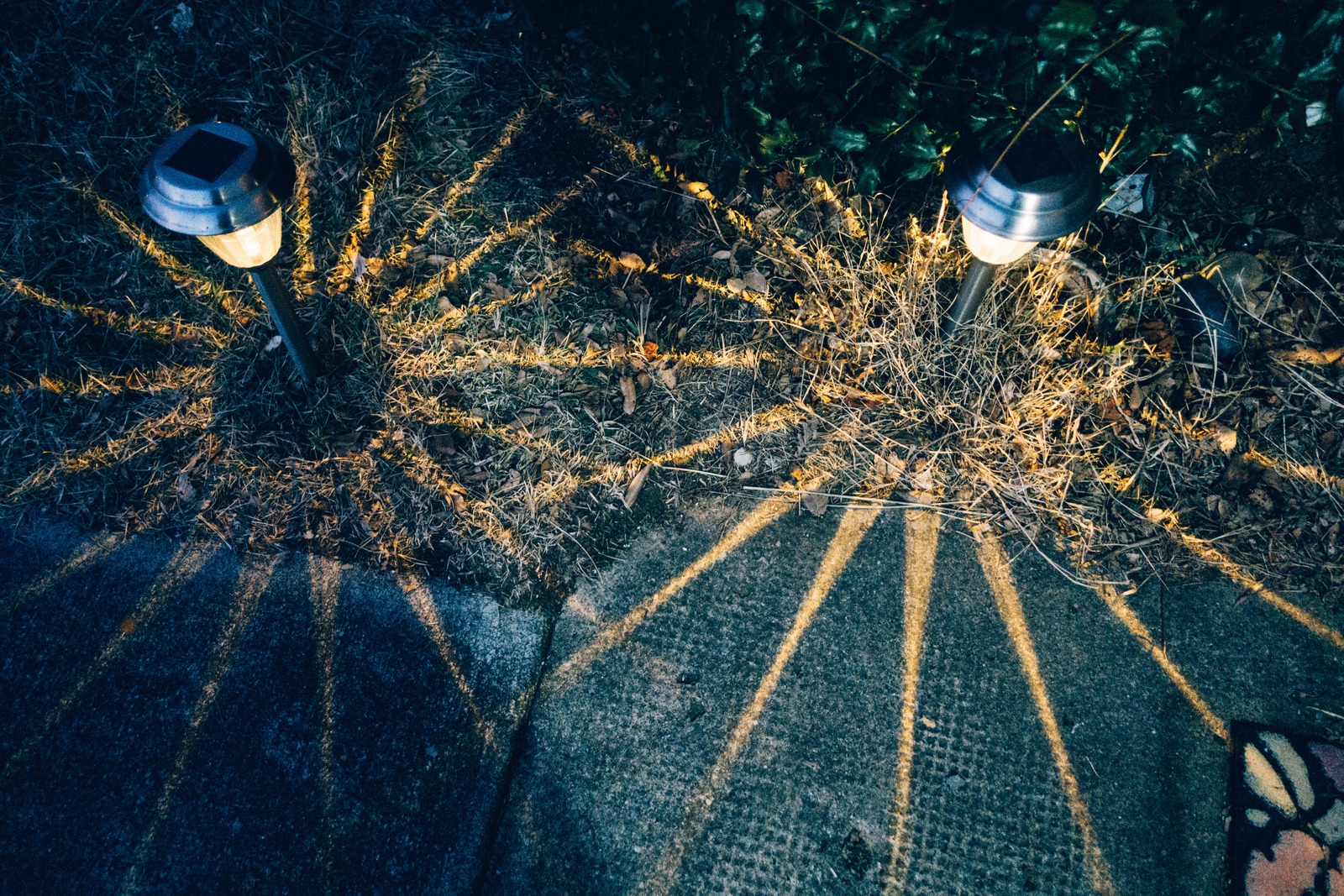 Radiant Pathways at Dusk