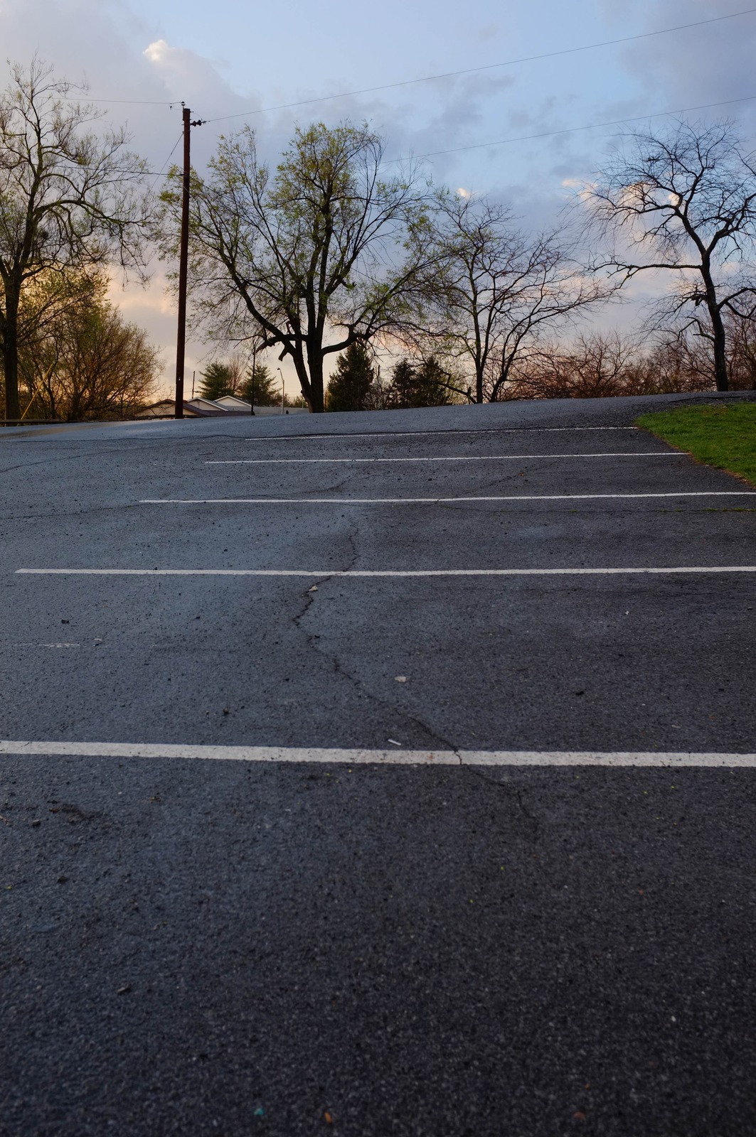 Empty Asphalt Serenity