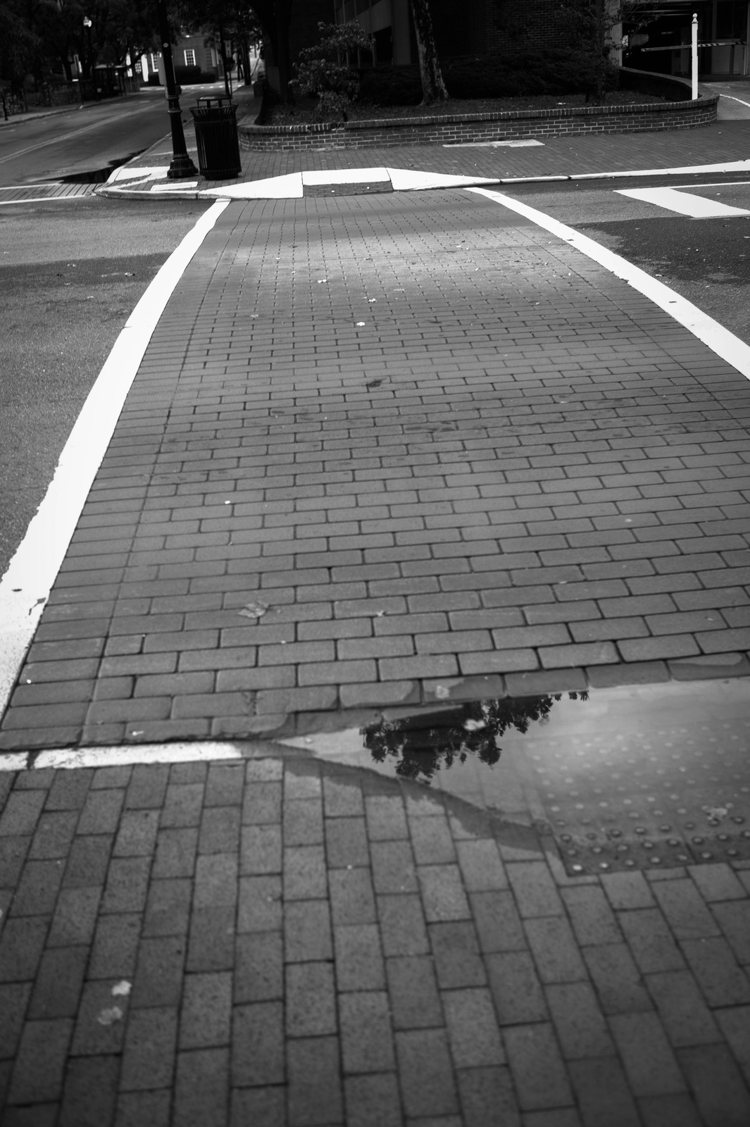 Reflections on Pavement