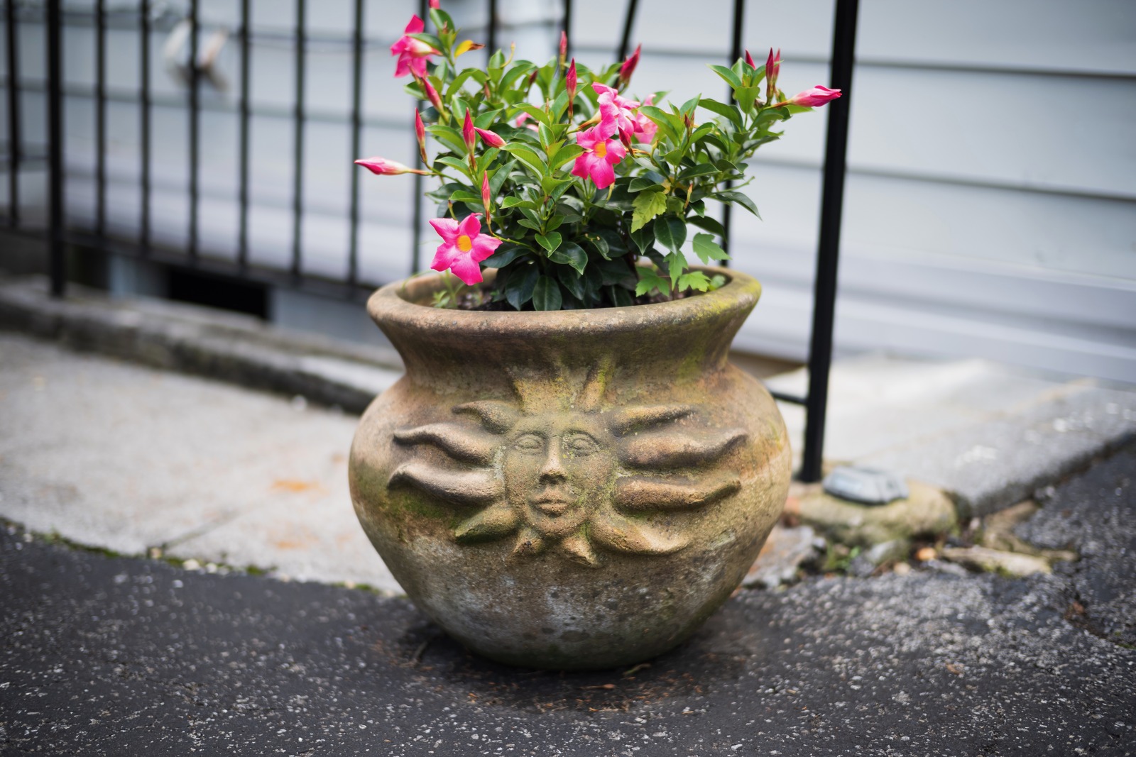 Whimsical Sunflower Pot