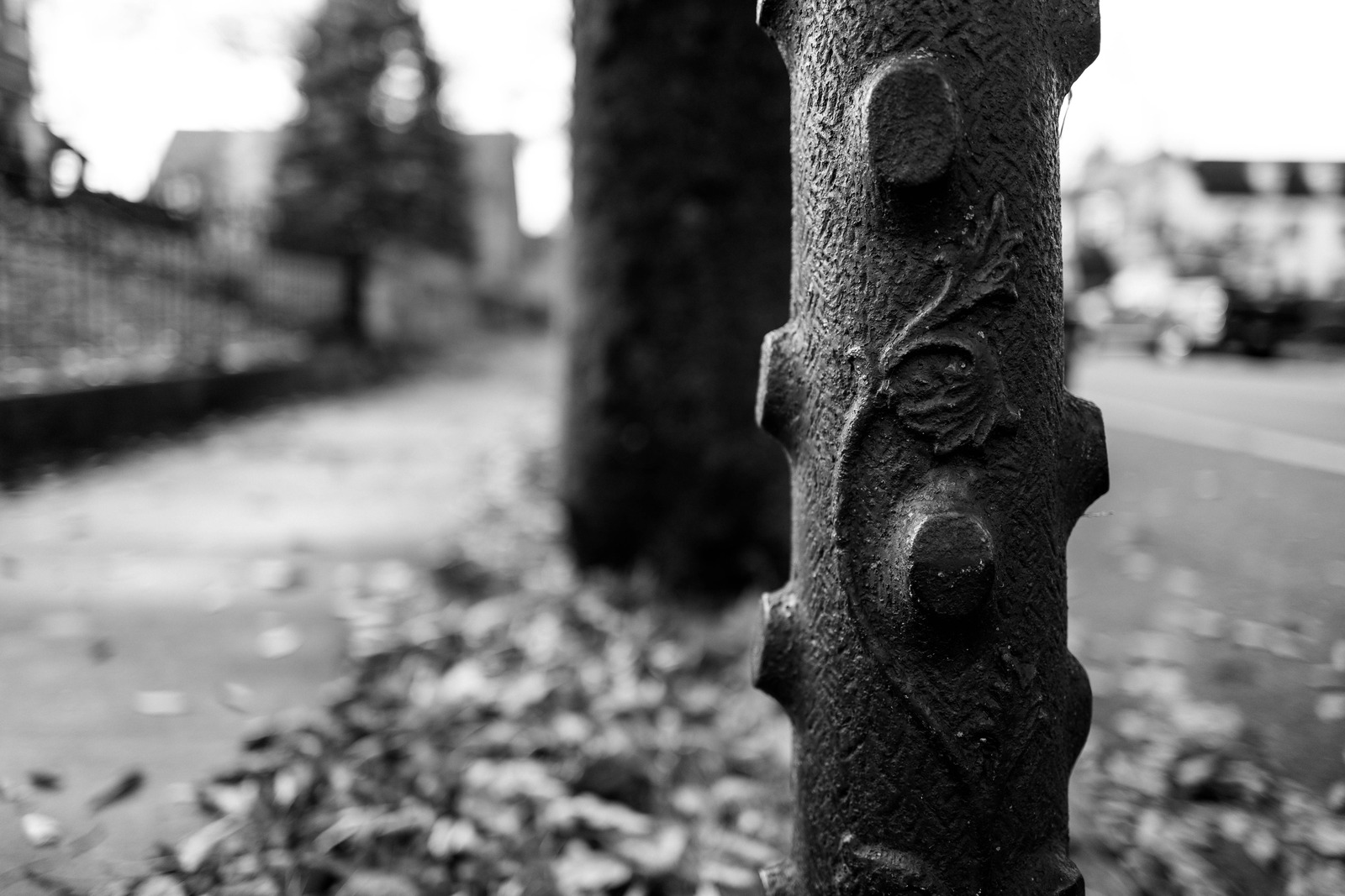 Urban Elegance in Monochrome