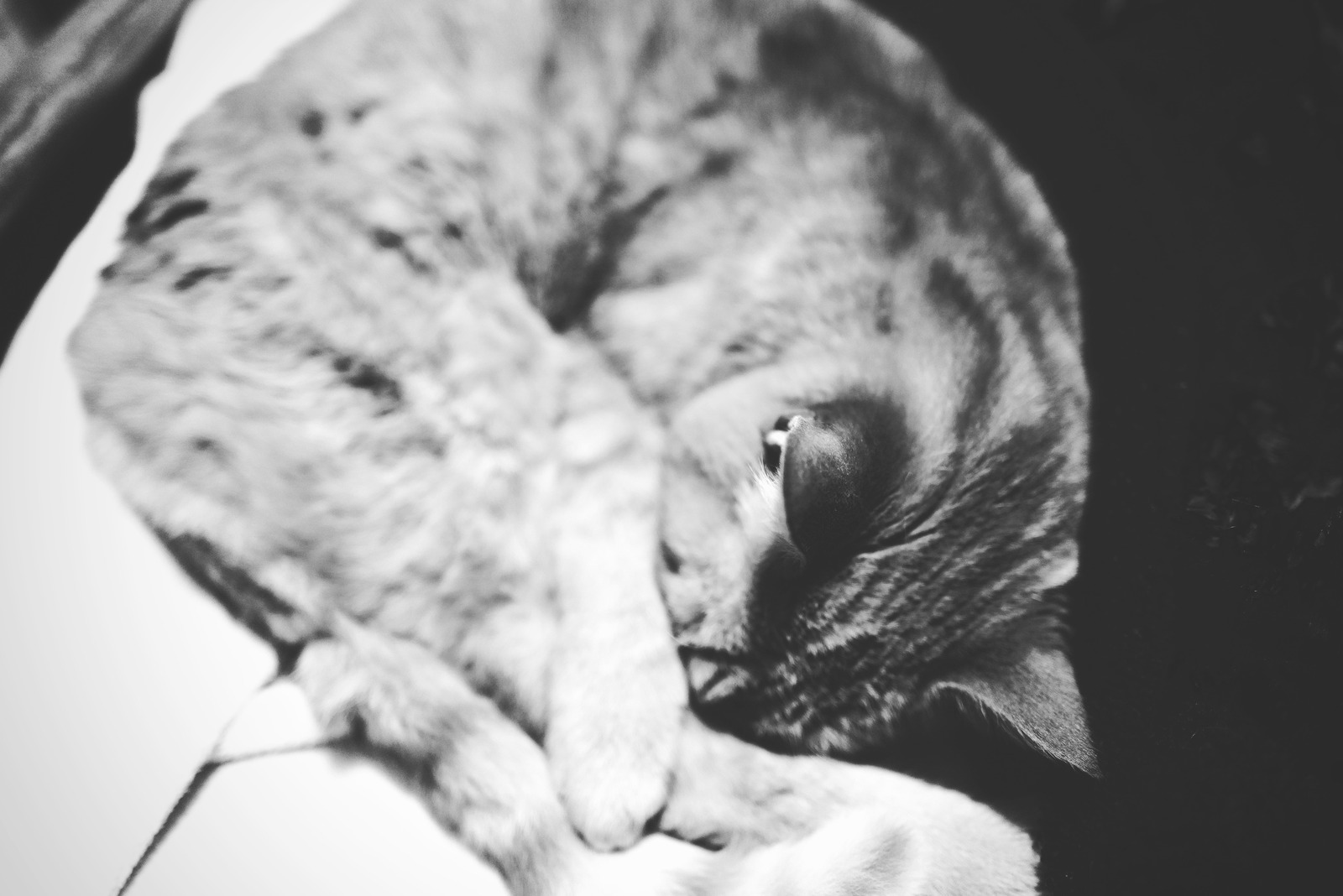 Quiet Moments of Solitude