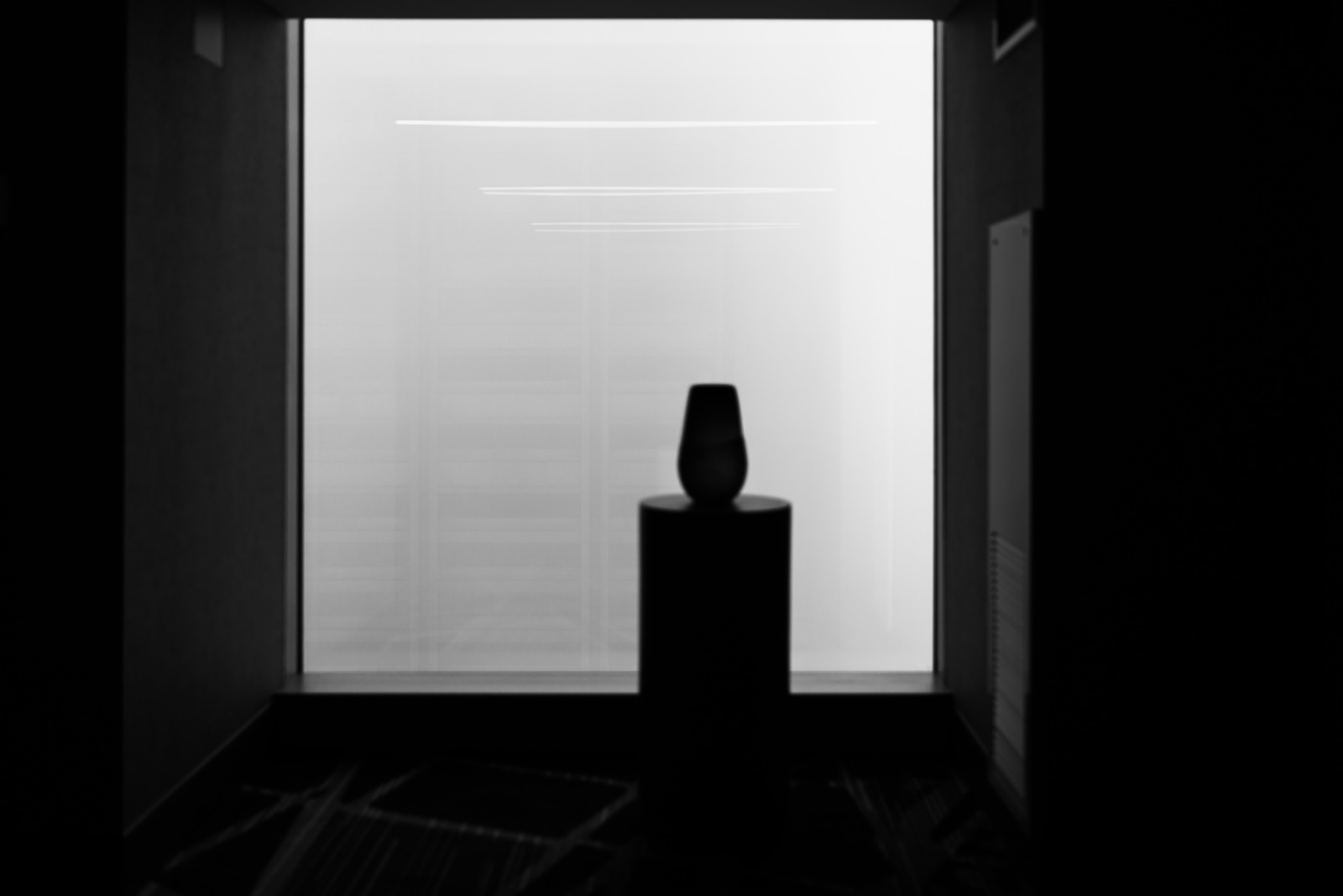 Silhouette in the Light