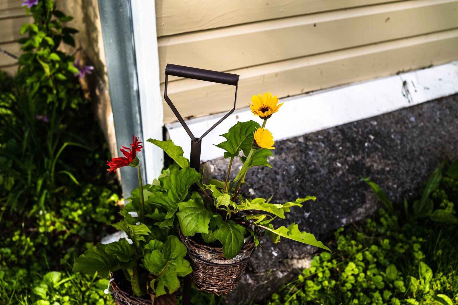 Whimsical Garden Scene