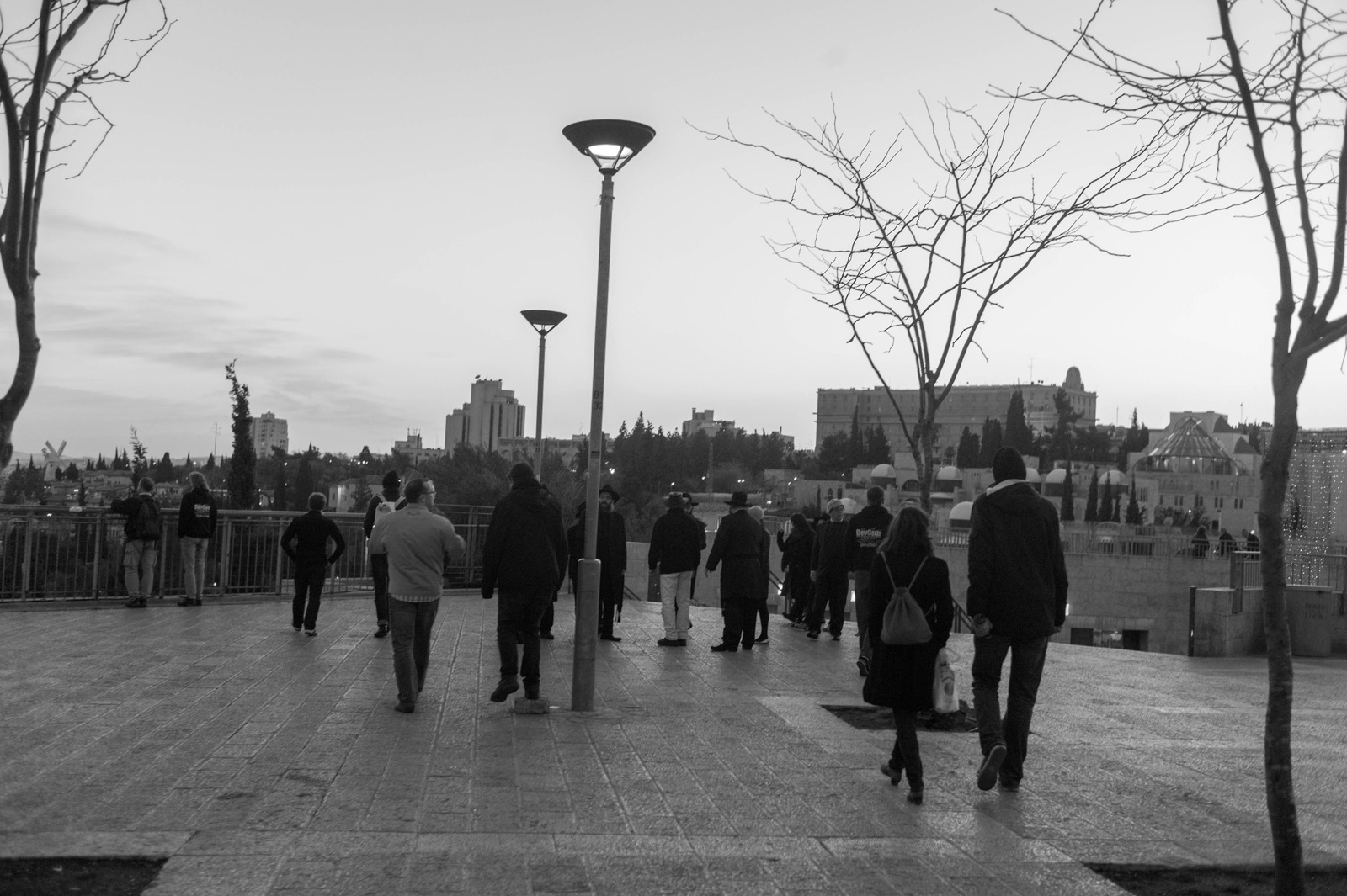 Evening Stroll in Monochrome
