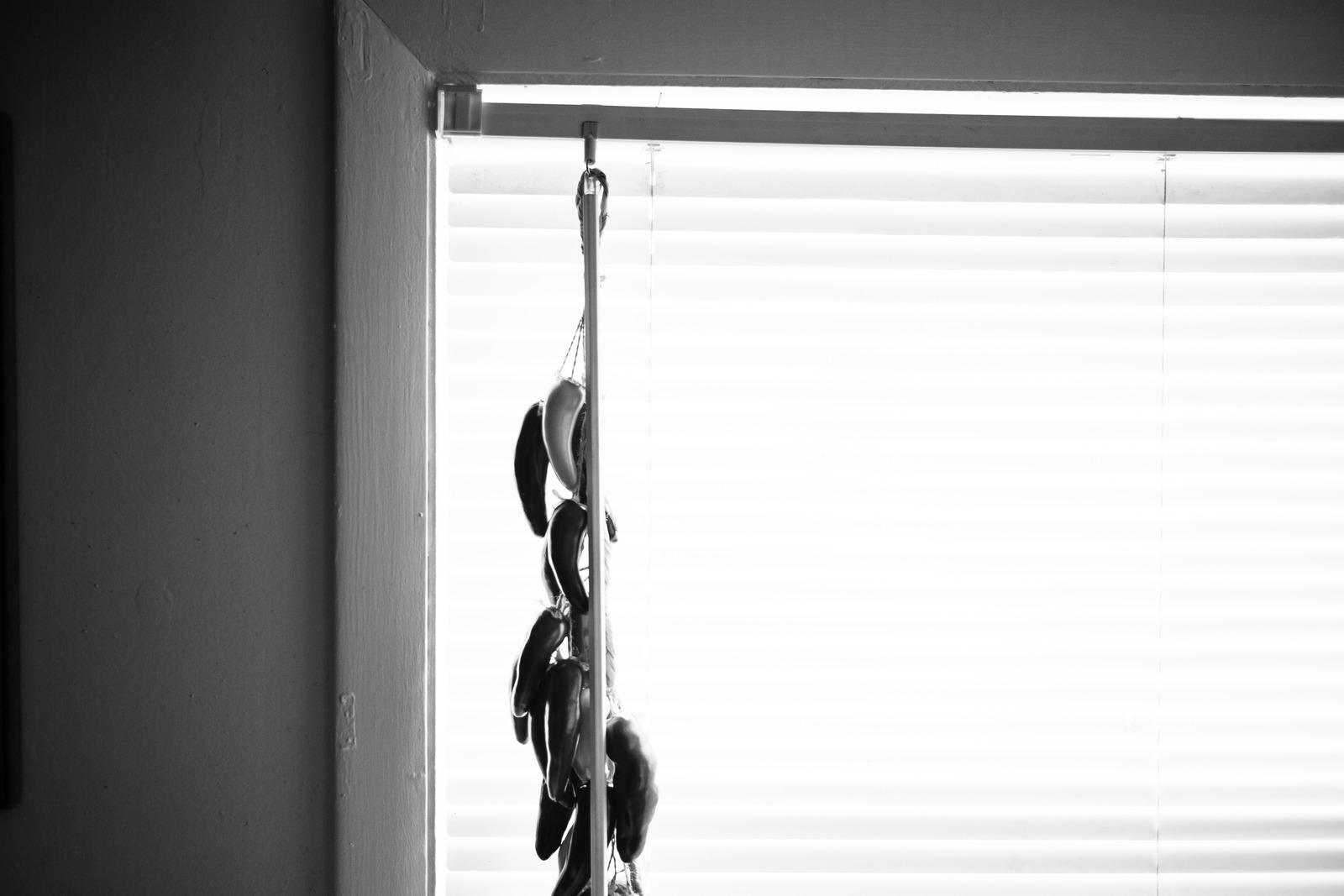 Silent Moments of Reflection