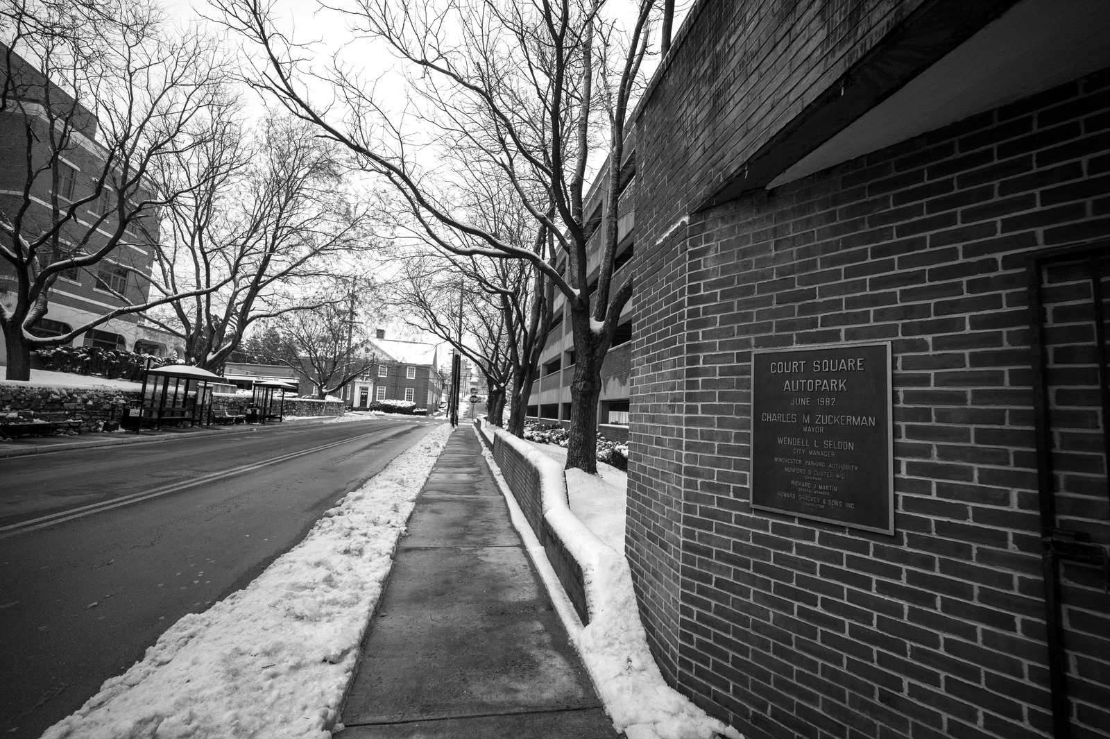 Winter's Silent Path