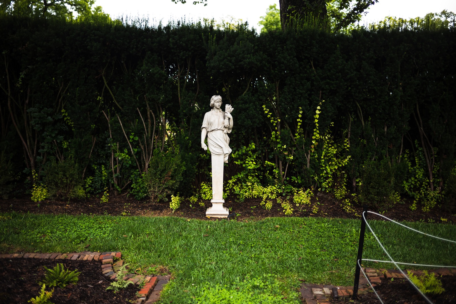 Whispers of the Garden