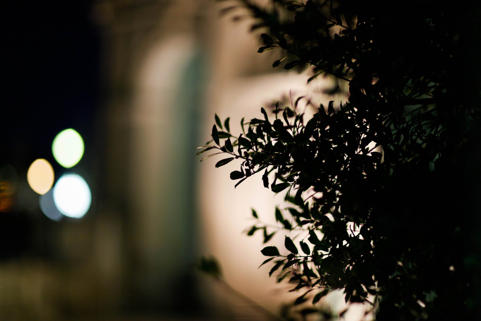 Nighttime Silhouettes