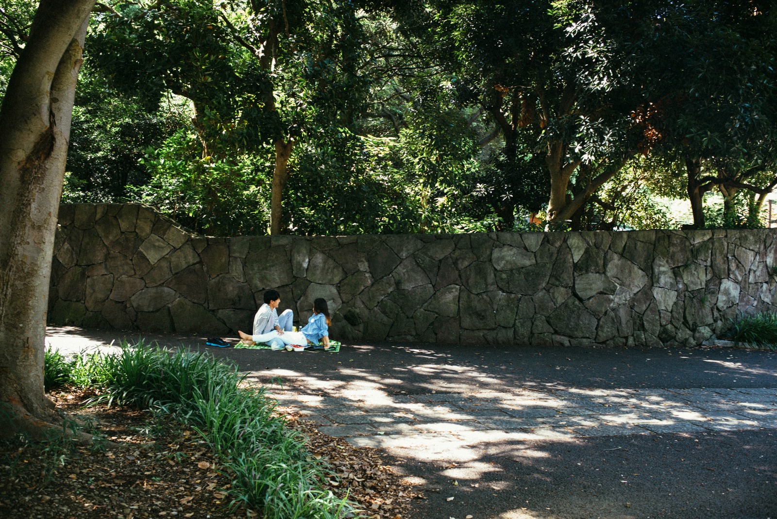 A Serene Picnic Escape