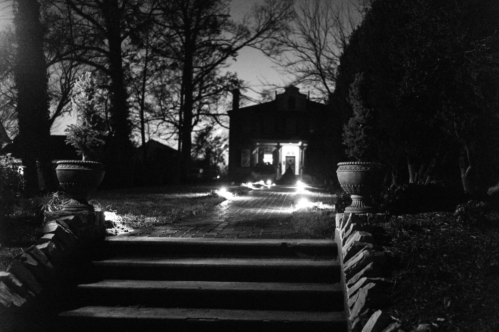 Eerie Elegance at Dusk