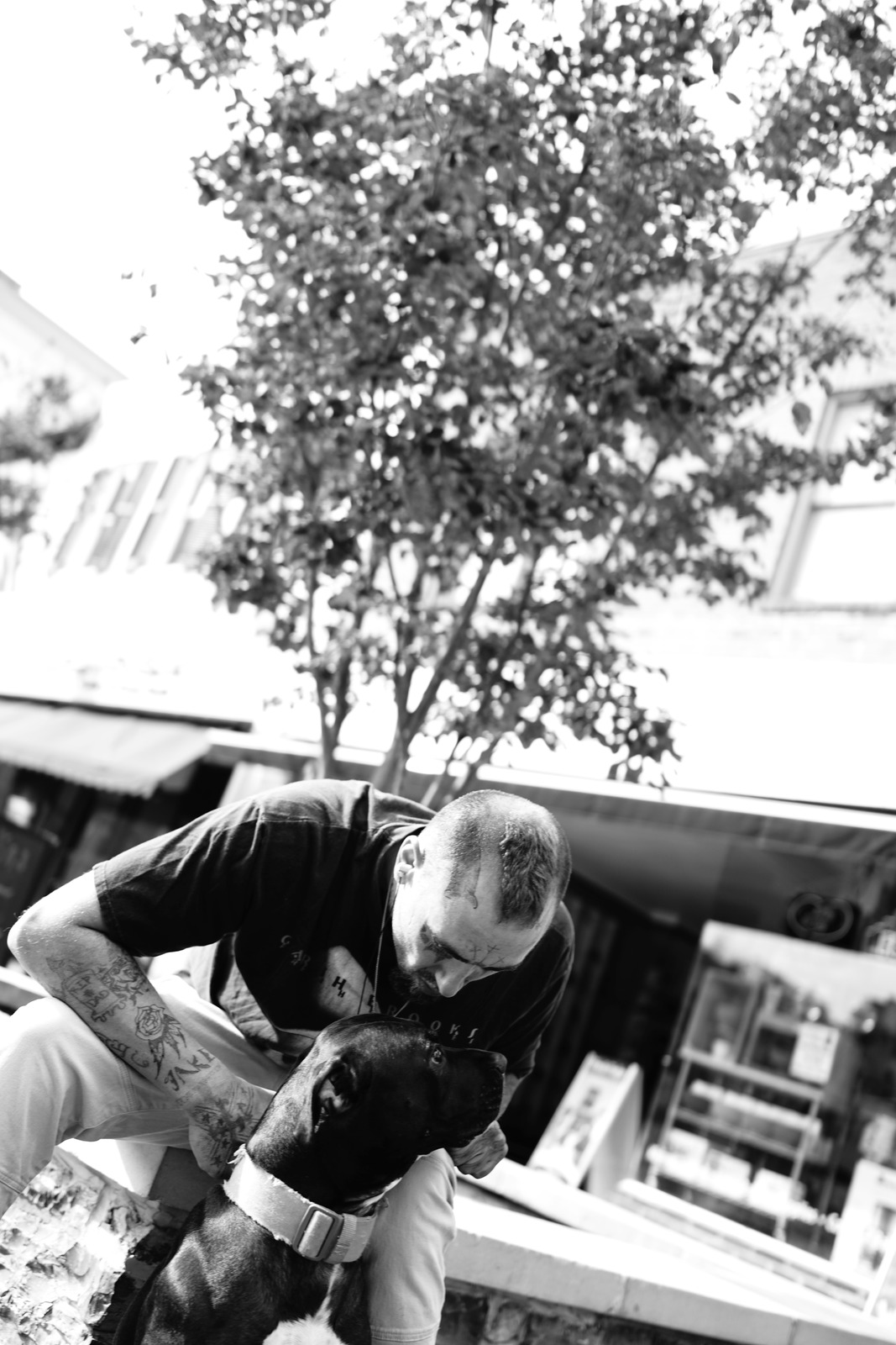 Bonding Moments in Black and White