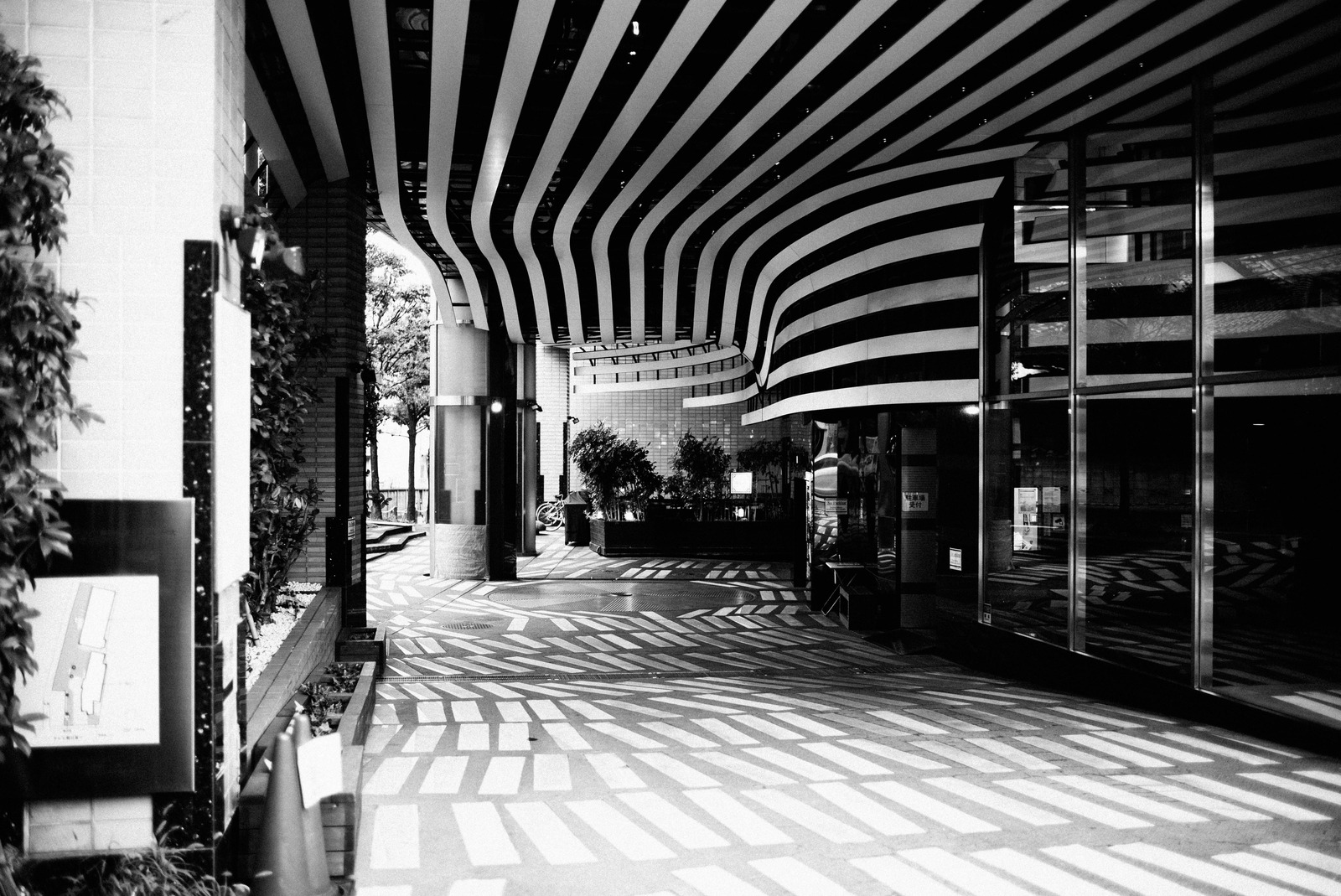 Monochrome Stripes and Shadows