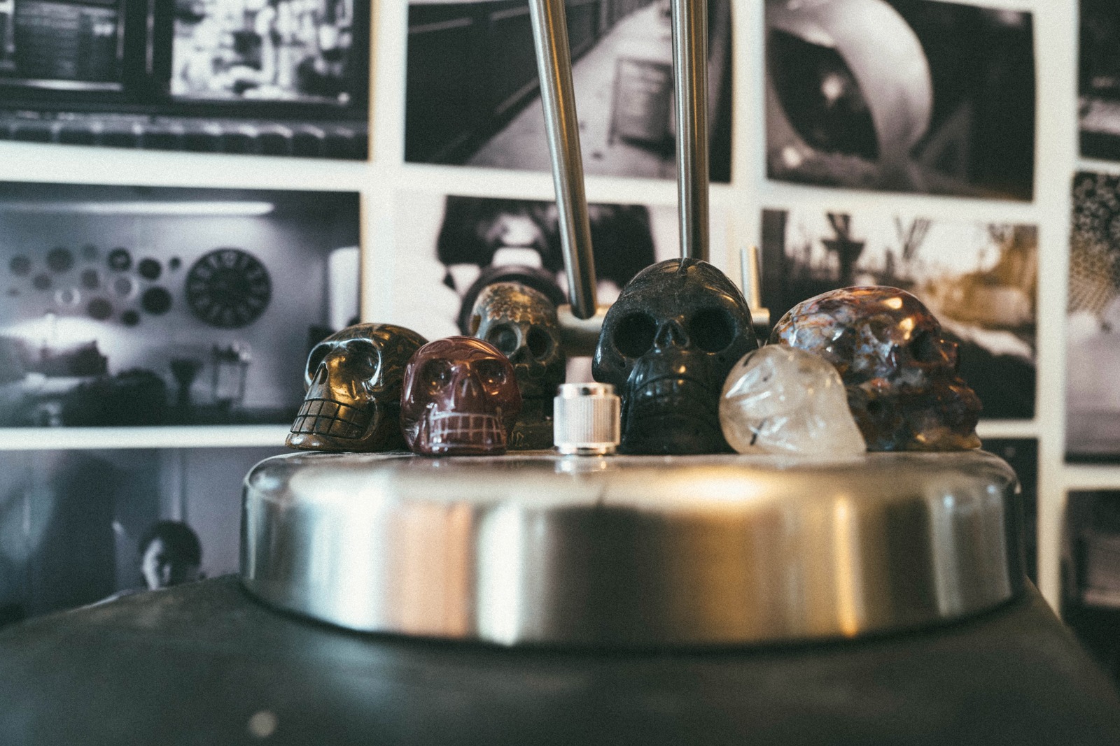 Curious Collection of Skulls