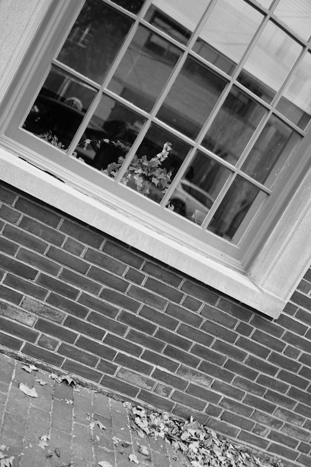 Reflections Through the Glass