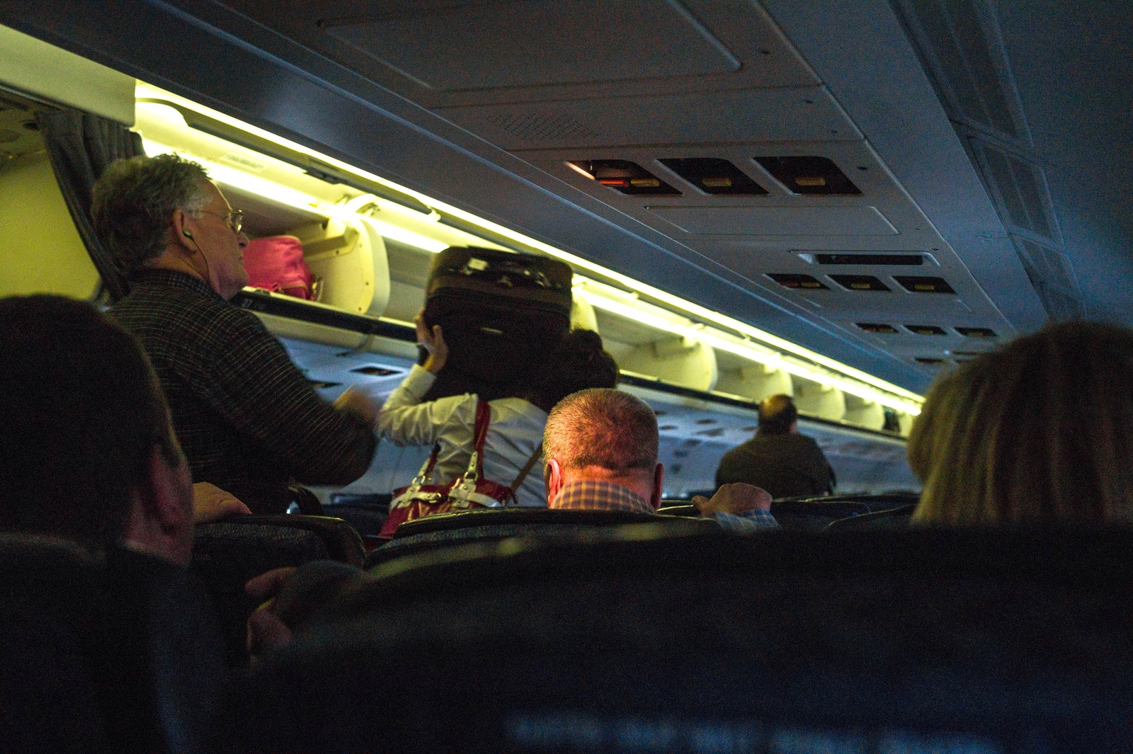 Candid Moments in Flight