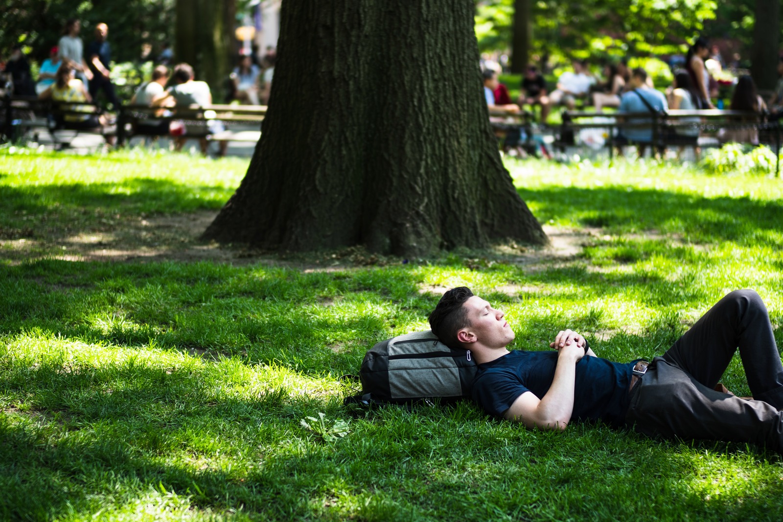 Serenity in the Park