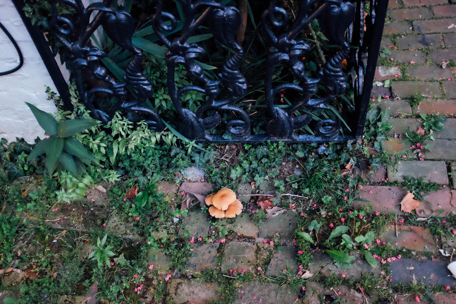 Fleeting Moments of Nature