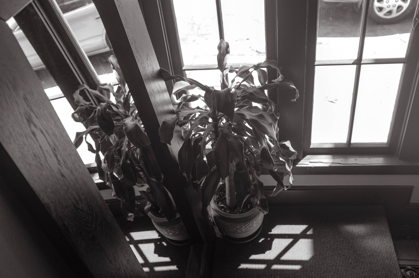 Quiet Corner of Nature