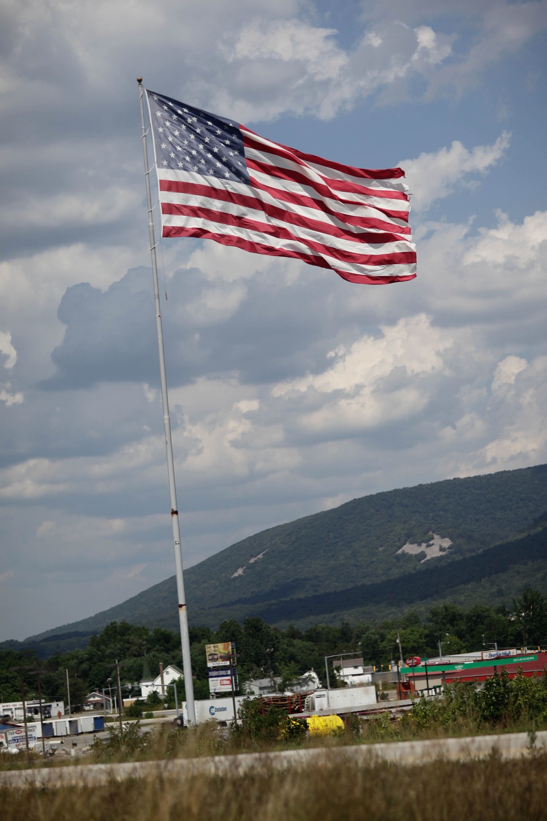 Waving Emblem of Freedom
