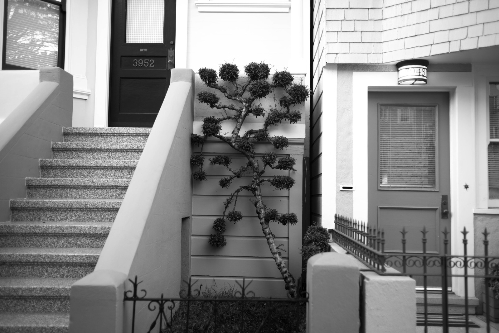 Urban Serenity in Monochrome