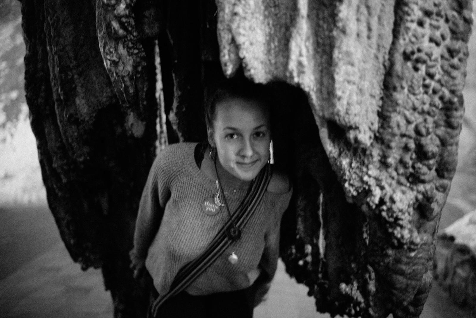 Emerging from Shadows