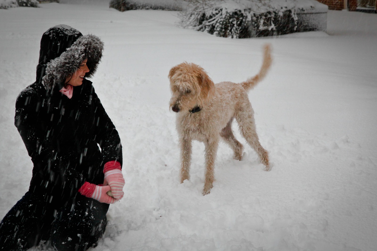 Winter Playtime Delight