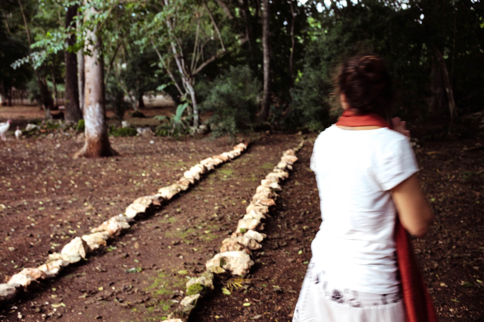 Wandering Through Nature