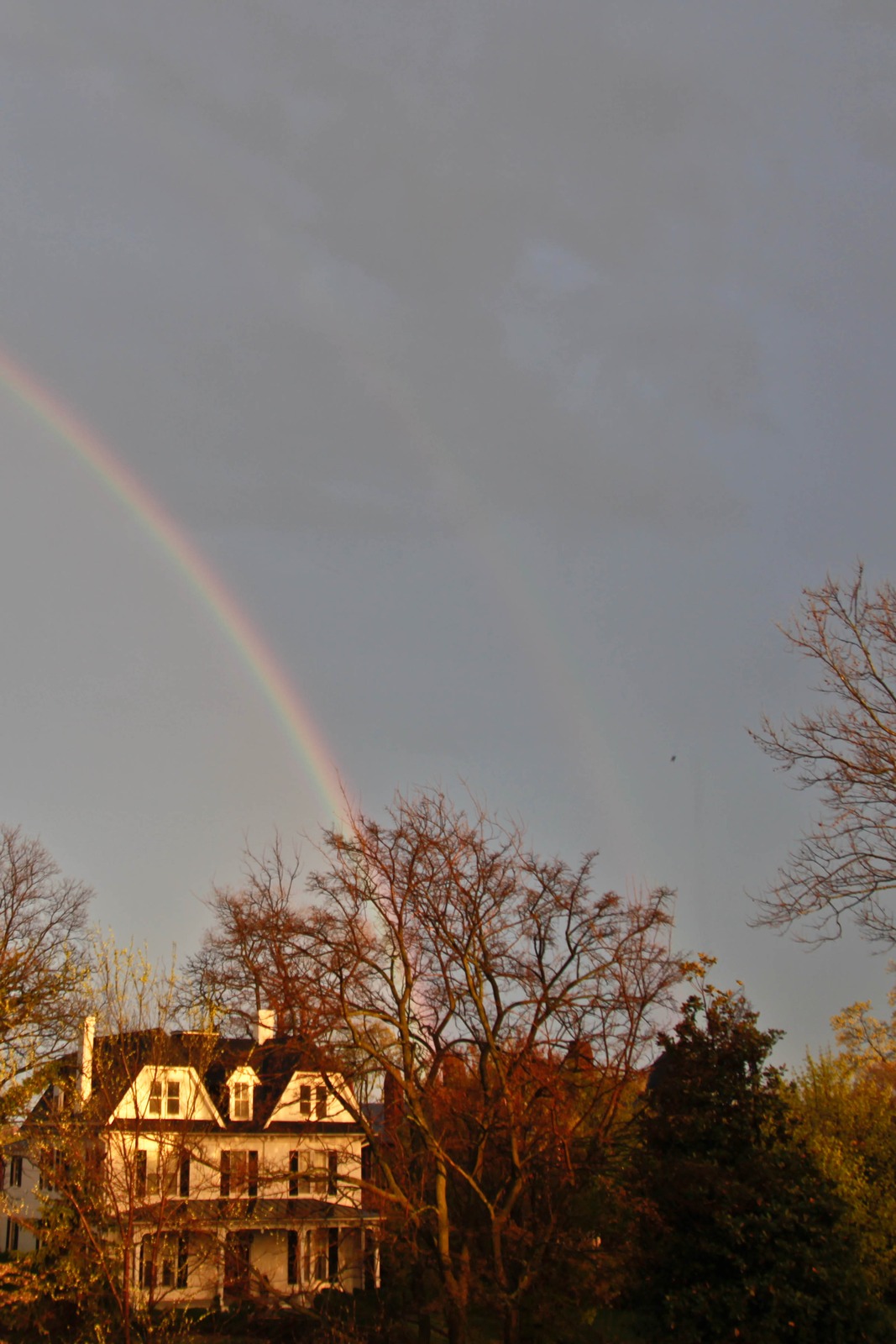 A Home Under the Rainbow