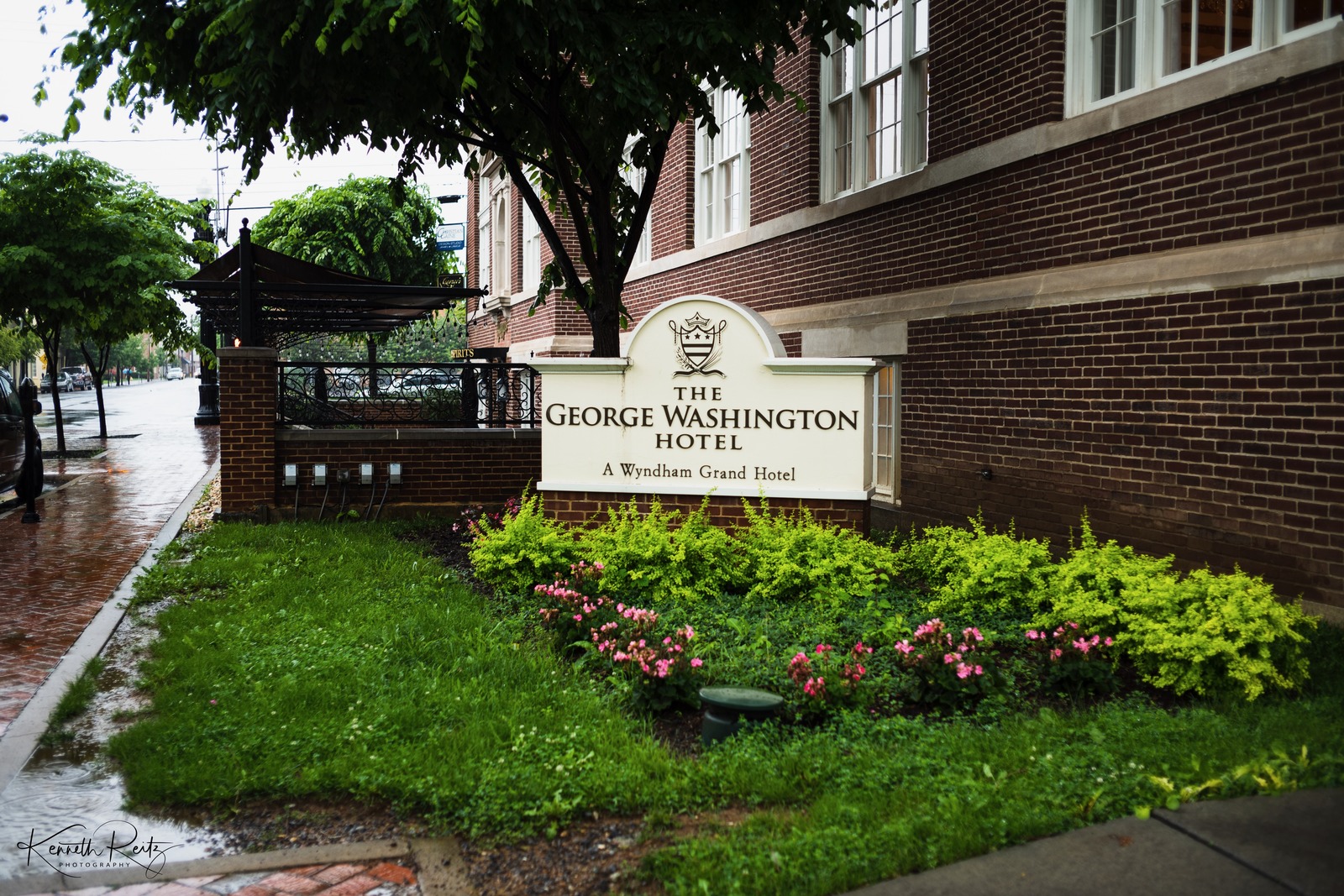 Urban Elegance in Rain