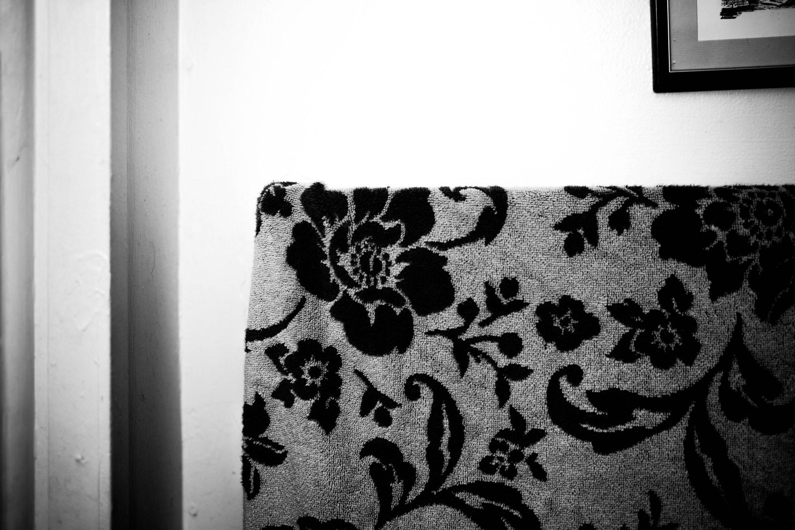 Floral Shadows of Memory