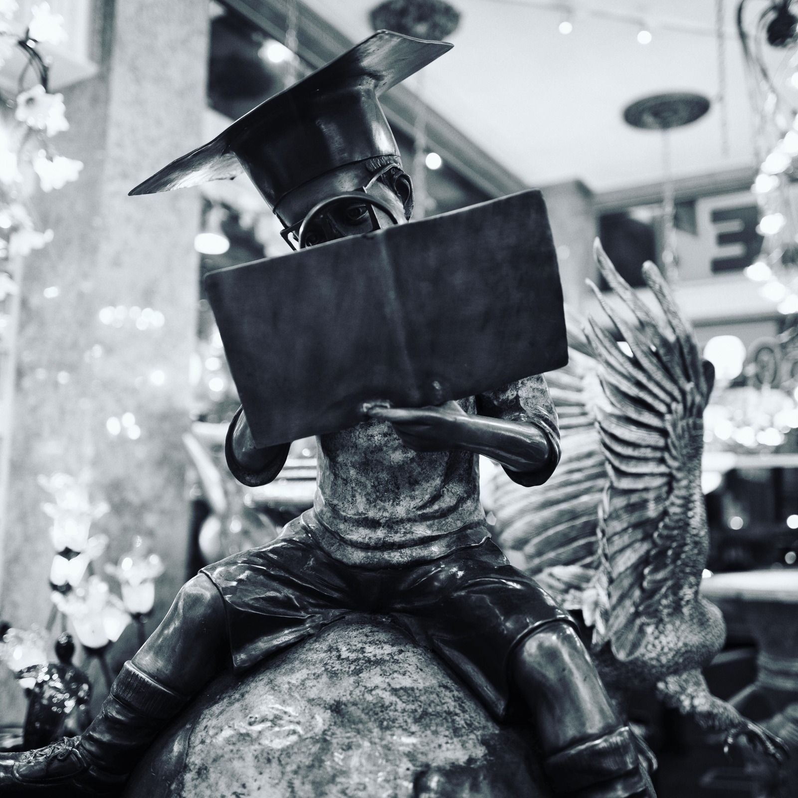 The Scholar on the Globe