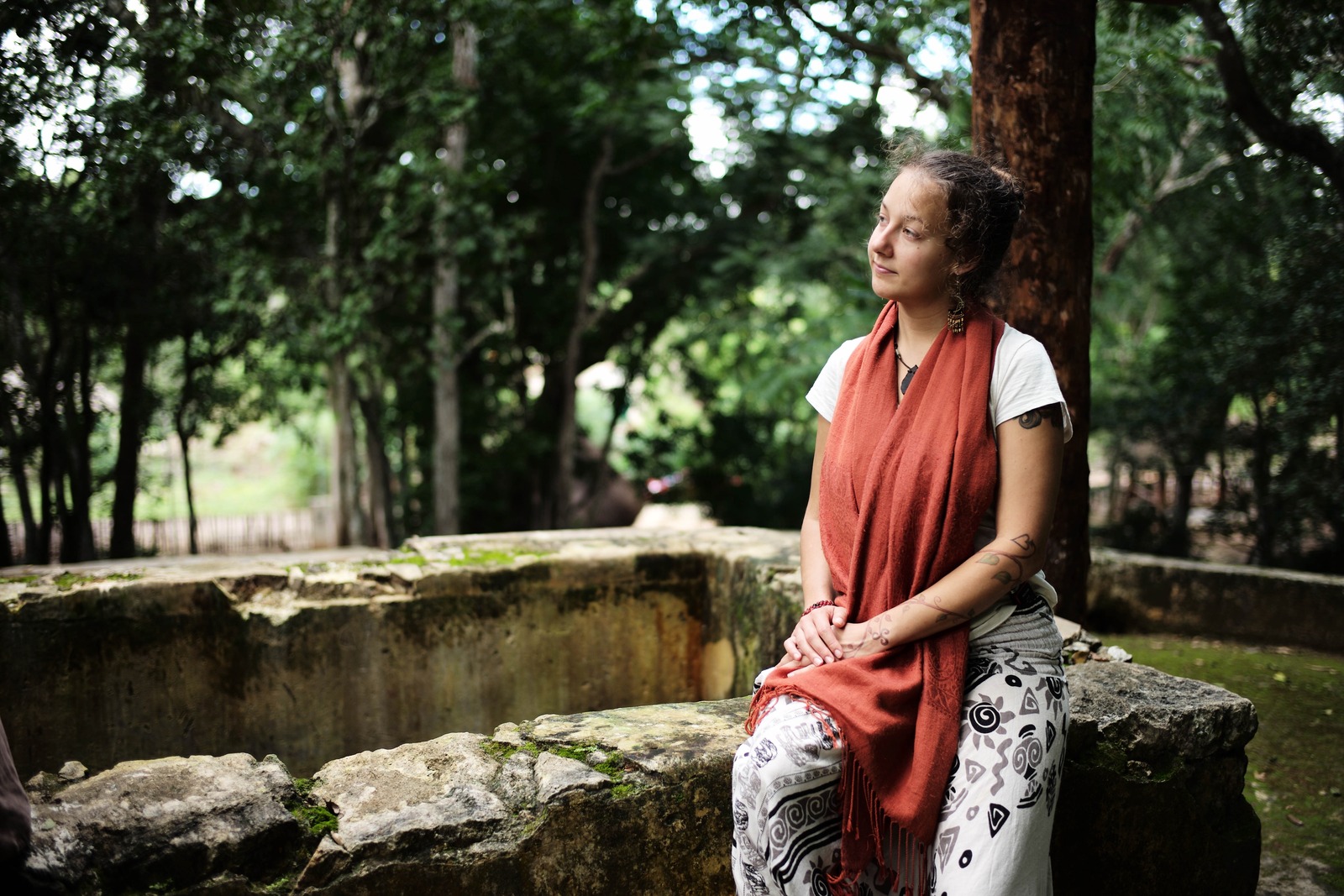 Contemplative Harmony