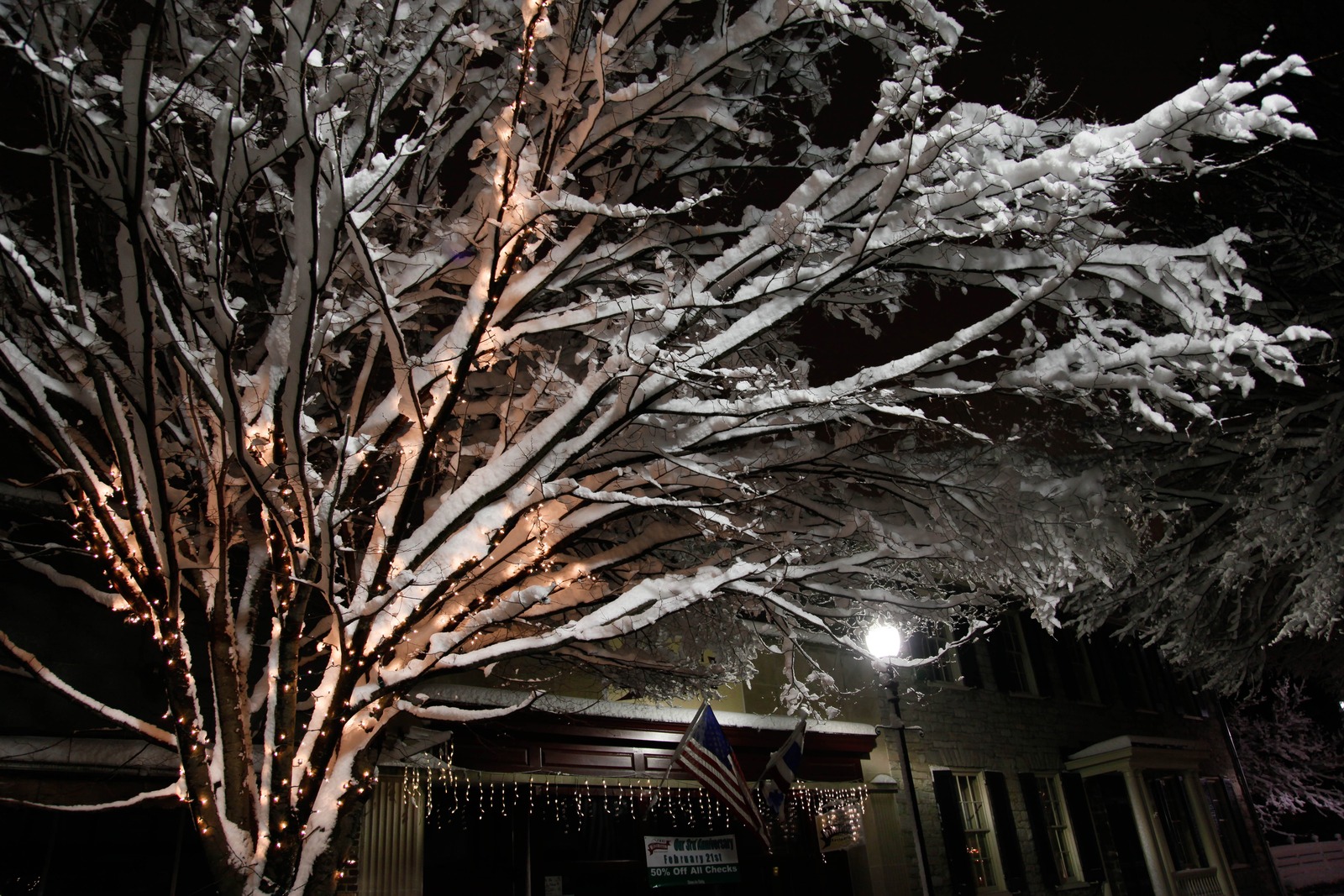 Winter Wonderland at Night