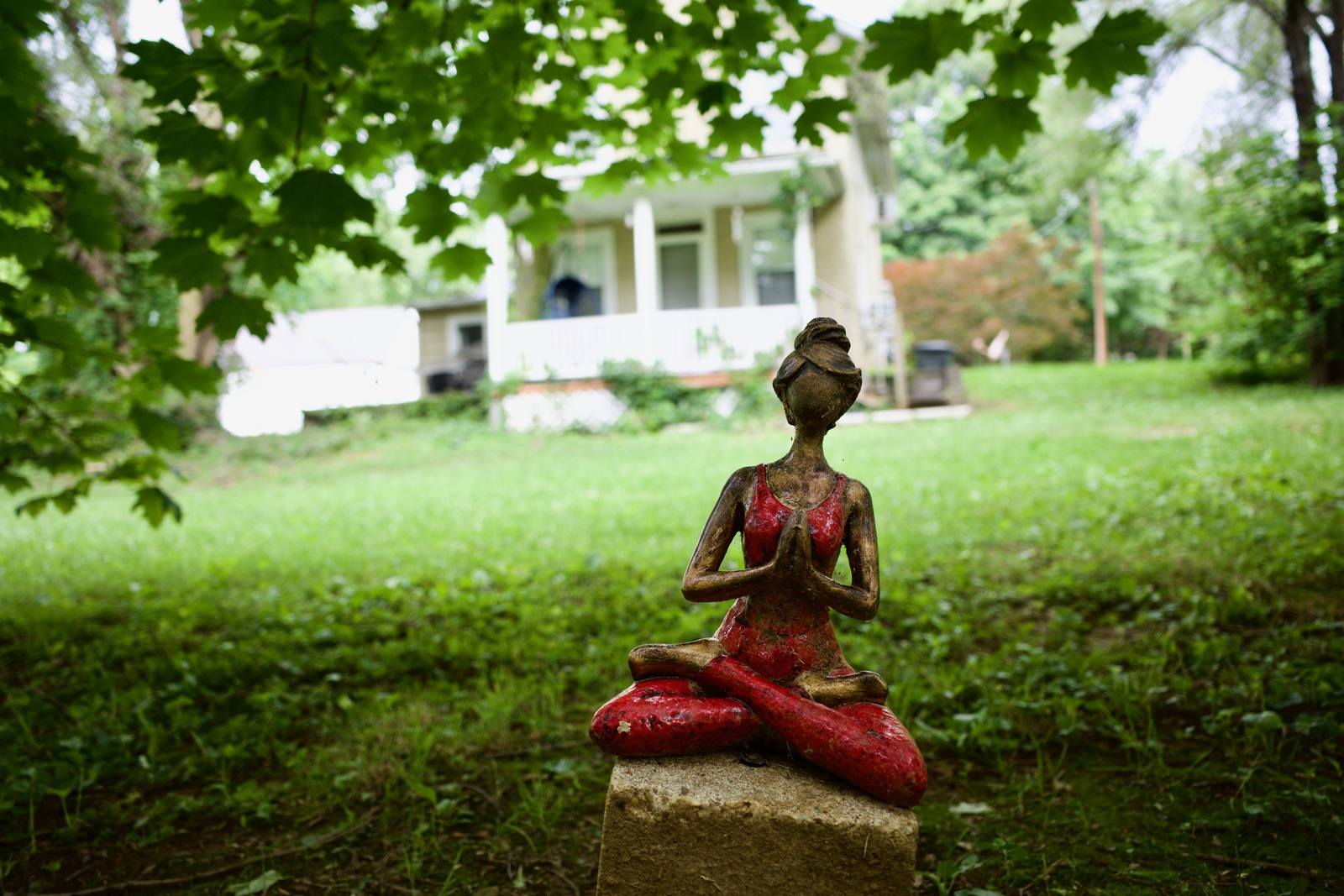 Serenity in Stillness