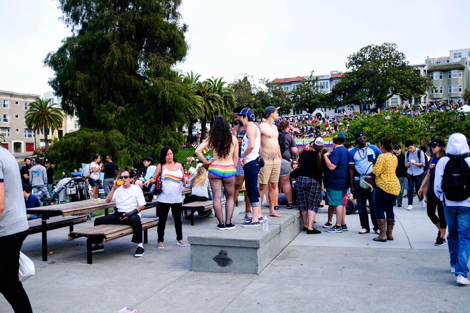 Vibrant Park Gathering