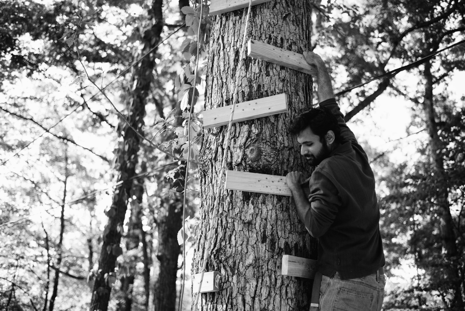 Climbing Nature's Giants