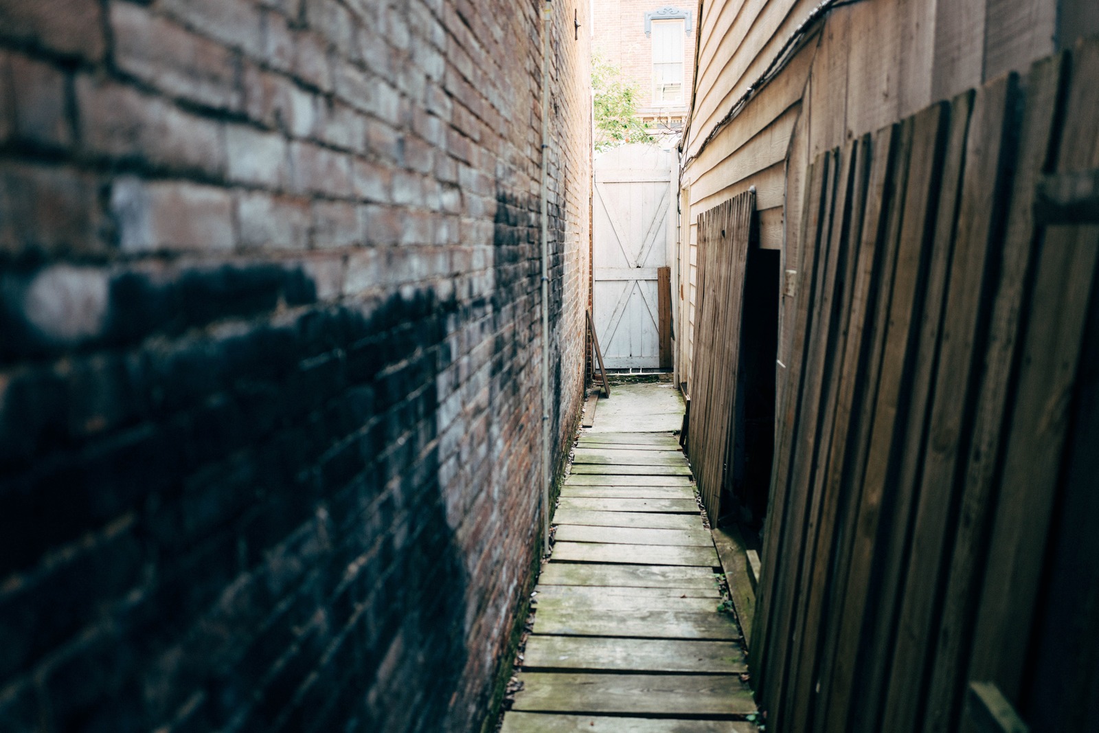 Narrow Pathway of Shadows