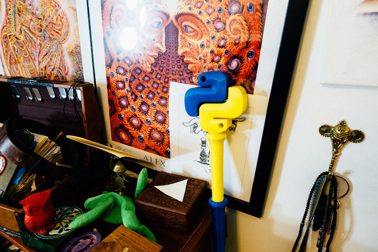 Colorful Curiosities