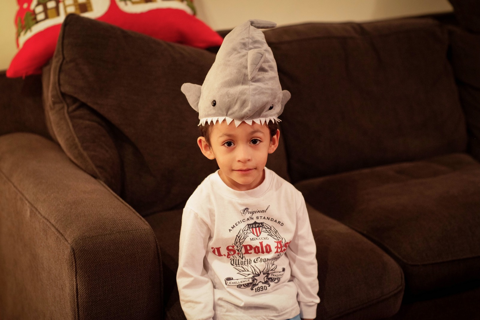 Shark Hat Delight